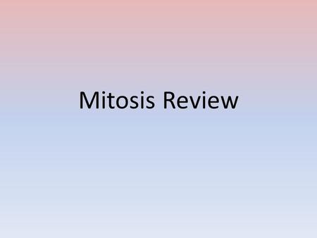 Mitosis Review.