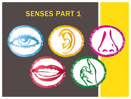 Senses Part 1.