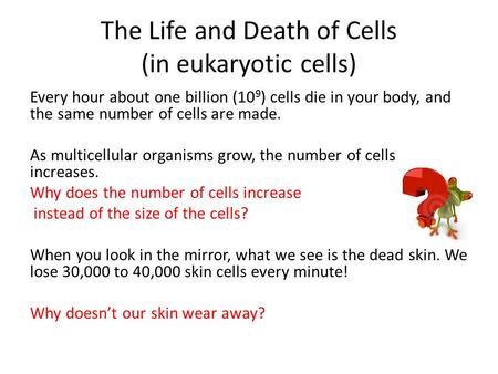 The Life and Death of Cells (in eukaryotic cells) Every hour about one billion (10 9 ) cells die in your body, and the same number of cells are made. As.