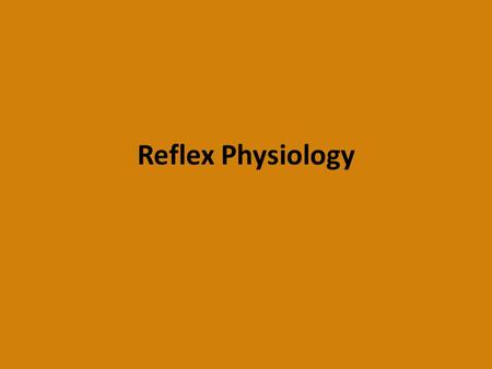 Reflex Physiology. Reflex Arc The reflex arc governs the operation of reflexes. Nerve impulses follow nerve pathways as they travel through the nervous.