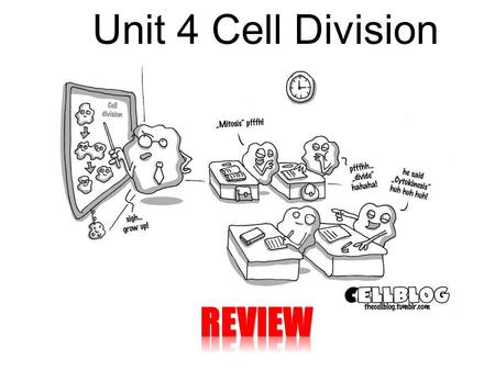 Unit 4 Cell Division REVIEW.