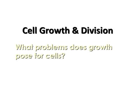 Cell Growth & Division What problems does growth pose for cells?