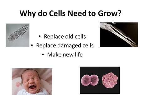 Why do Cells Need to Grow? Replace old cells Replace damaged cells Make new life.