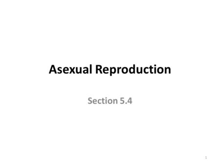 Asexual Reproduction Section 5.4 1. Objectives SWBAT compare and contrast binary fission and mitosis. SWBAT describe how eukaryotes reproduce through.