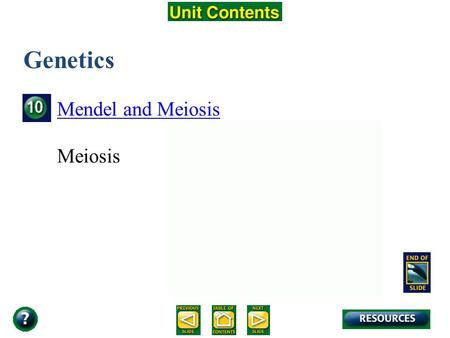 Unit Overview – pages 250-251 Genetics Mendel and Meiosis Meiosis.