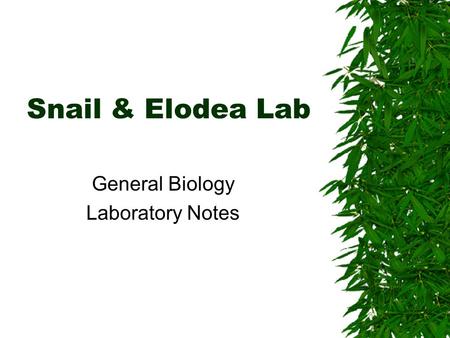 General Biology Laboratory Notes
