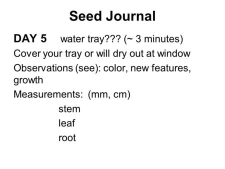 Seed Journal DAY 5 water tray??? (~ 3 minutes) Cover your tray or will dry out at window Observations (see): color, new features, growth Measurements: