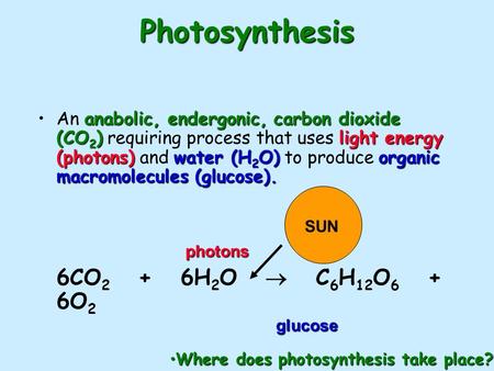 Photosynthesis anabolic, endergonic, carbon dioxide (CO 2 )light energy (photons)water (H 2 O)organic macromolecules (glucose).An anabolic, endergonic,