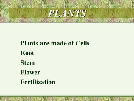 PLANTS Plants are made of Cells Root Stem Flower Fertilization.