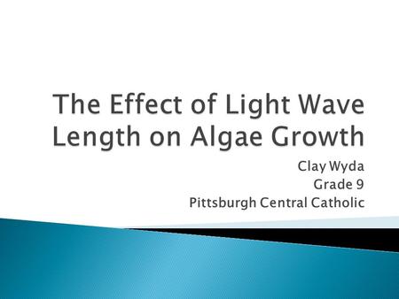 The Effect of Light Wave Length on Algae Growth