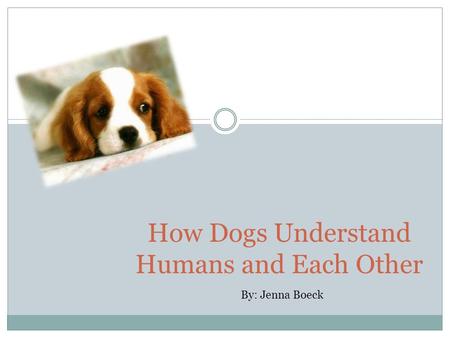 How Dogs Understand Humans and Each Other By: Jenna Boeck.