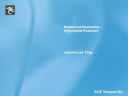 ACE Tempest Re Numerical Examples – Adjustable Features Jeanne Lee Ying.