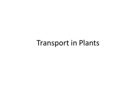 Transport in Plants.