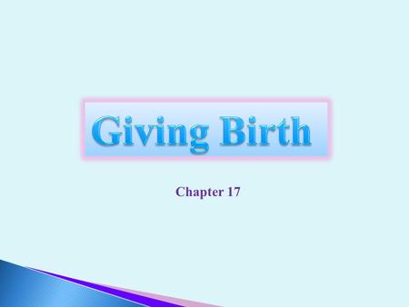 Giving Birth Chapter 17.