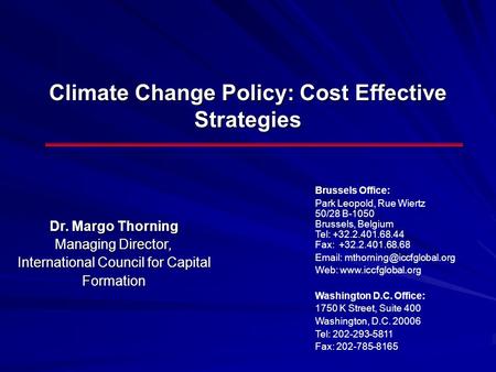 Climate Change Policy: Cost Effective Strategies Dr. Margo Thorning Managing Director, International Council for Capital Formation Brussels Office: Park.
