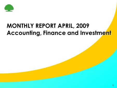 1 MONTHLY REPORT APRIL, 2009 Accounting, Finance and Investment.