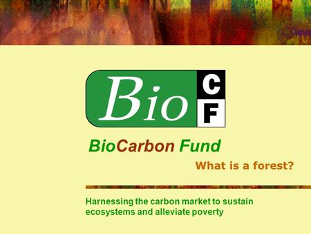 BioCarbon Fund Harnessing the carbon market to sustain ecosystems and alleviate poverty What is a forest?
