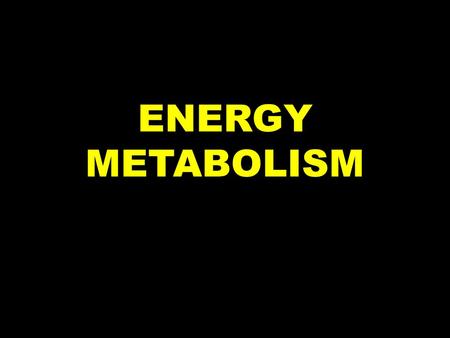 ENERGY METABOLISM.