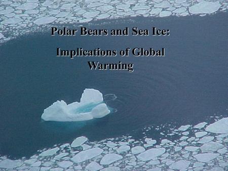 Polar Bears and Sea Ice: Implications of Global Warming.
