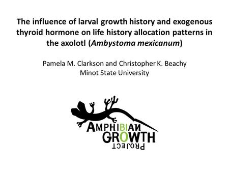 The influence of larval growth history and exogenous thyroid hormone on life history allocation patterns in the axolotl (Ambystoma mexicanum) Pamela M.