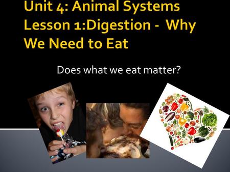 Does what we eat matter?.  Why do we need to eat?