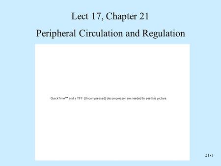 Peripheral Circulation and Regulation