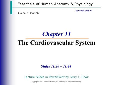 Essentials of Human Anatomy & Physiology Copyright © 2003 Pearson Education, Inc. publishing as Benjamin Cummings Slides 11.20 – 11.44 Seventh Edition.