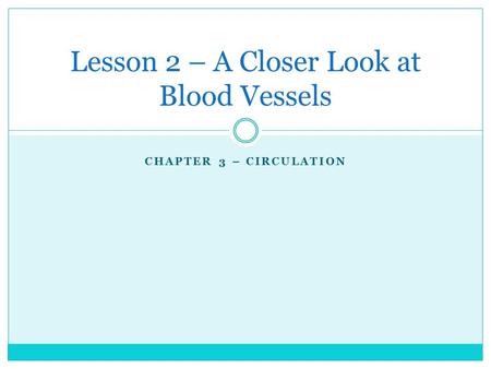 CHAPTER 3 – CIRCULATION Lesson 2 – A Closer Look at Blood Vessels.