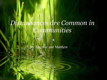 Disturbances are Common in Communities By: Sammie and Matthew.