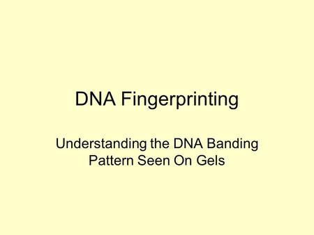 DNA Fingerprinting Understanding the DNA Banding Pattern Seen On Gels.