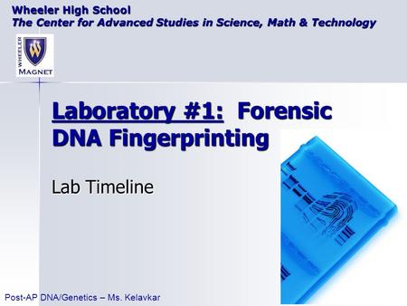 Laboratory #1: Forensic DNA Fingerprinting