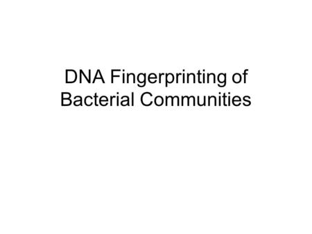 DNA Fingerprinting of Bacterial Communities. Overview Targets gene for ribosomal RNA (16S rDNA) Make many DNA copies of the gene for the entire community.