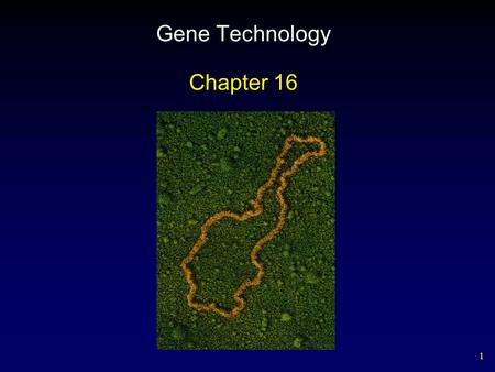 Gene Technology Chapter 16.