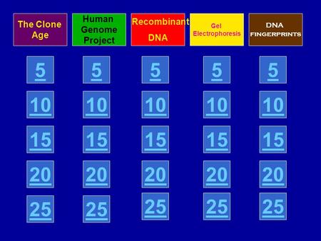 5 10 15 20 25 The Clone Age Human Genome Project Recombinant DNA Gel Electrophoresis DNA fingerprints 5 10 15 20 25 5 10 15 20 25 5 10 15 20 25 5 10 15.