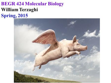 BEGR 424 Molecular Biology William Terzaghi Spring, 2015.