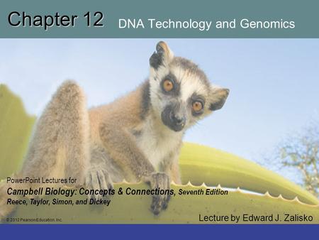 Chapter 12 DNA Technology and Genomics