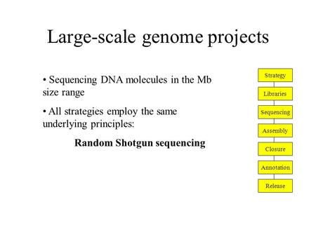 Large-scale genome projects