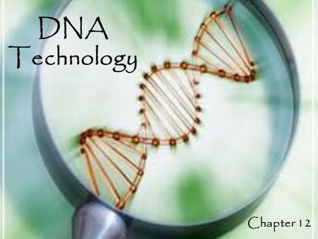 DNA Technology Chapter 12. Applications of Biotechnology Biotechnology: The use of organisms to perform practical tasks for human use. – DNA Technology: