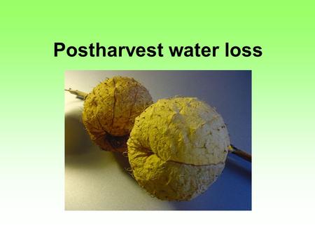 Postharvest water loss