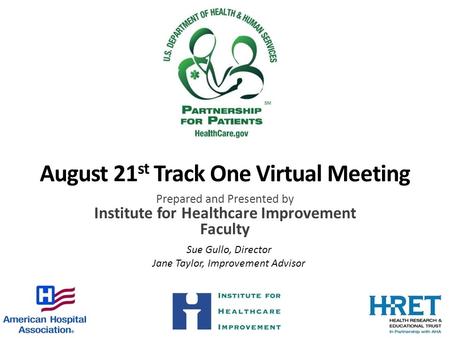 August 21 st Track One Virtual Meeting Prepared and Presented by Institute for Healthcare Improvement Faculty Sue Gullo, Director Jane Taylor, Improvement.