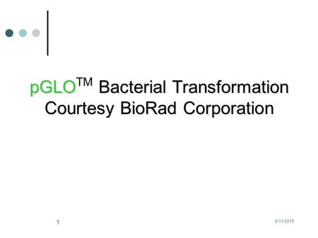 pGLOTM Bacterial Transformation Courtesy BioRad Corporation