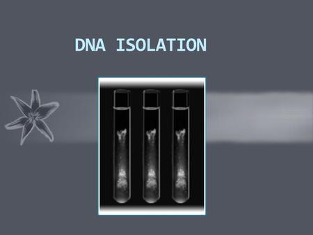 DNA ISOLATION. INTRODUCTION  DNA isolation is an extraction process of DNA from various sources. The scientist must be able to separate the DNA from.