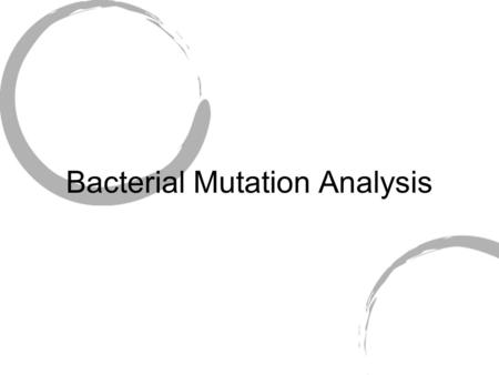 Bacterial Mutation Analysis. The Bio Part What we want to do… Determine the rate of mutations in plasmids pBR325 CCTG 36 and pBR325 CCTG 58 in strains.