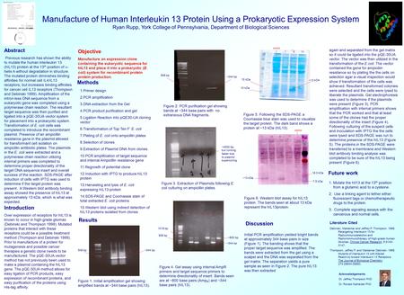 Manufacture of Human Interleukin 13 Protein Using a Prokaryotic Expression System Ryan Rupp, York College of Pennsylvania, Department of Biological Sciences.