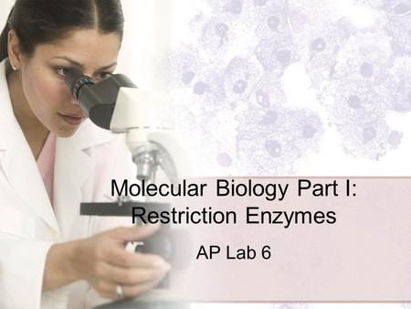Molecular Biology Part I: Restriction Enzymes AP Lab 6.