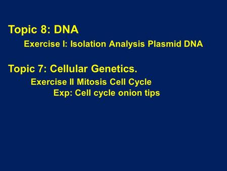 Exercise I: Isolation Analysis Plasmid DNA