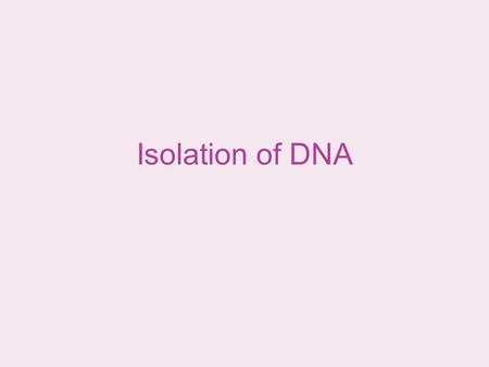 Isolation of DNA. DNA Deoxyribonucleic acid Genetic material of all living things Makes up chromosomes of living things –Contained within a nucleus in.