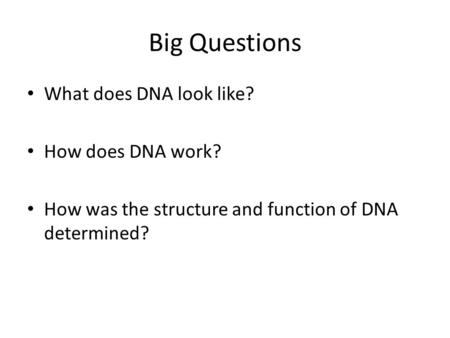Big Questions What does DNA look like? How does DNA work?