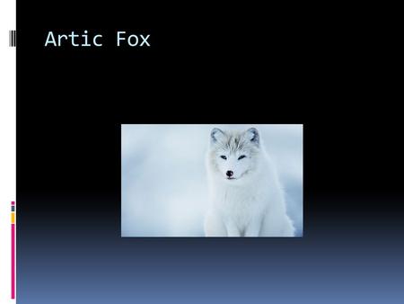 Artic Fox. Covering  It is furry and white  It changes colors in the seasons  It is grayish brown in the summer  It is white in the winter  The fur.