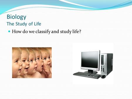 Biology The Study of Life